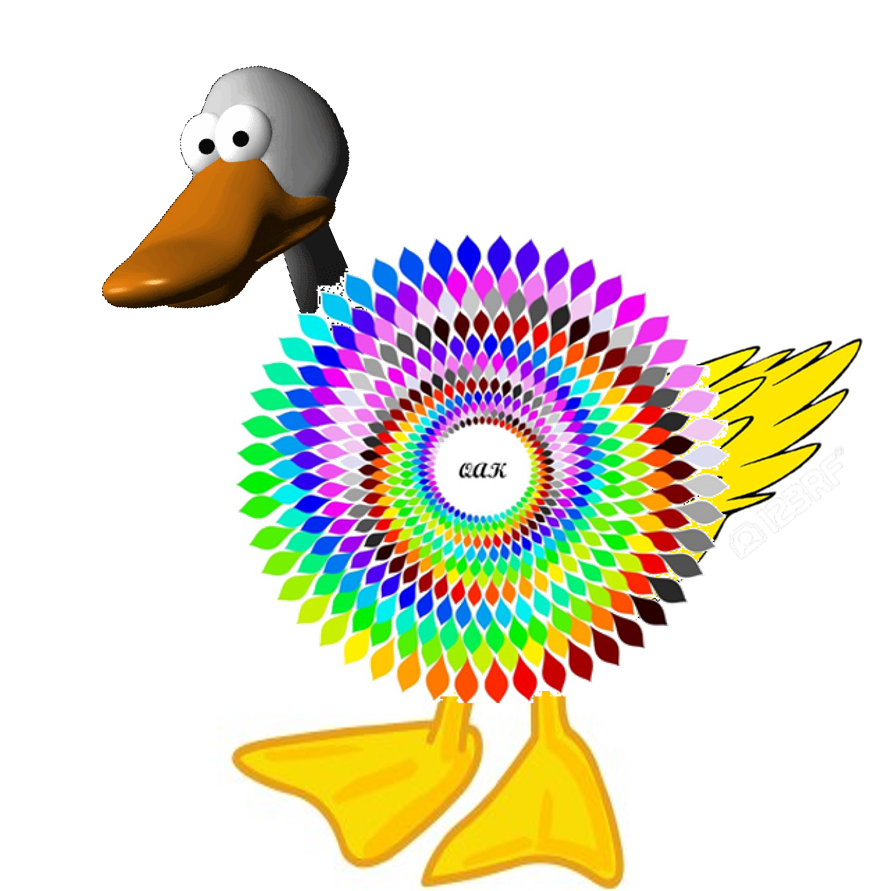 QAK Duck Final 170302
